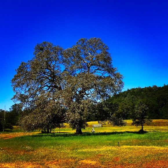 Meet your Posher, Sandra - Picture 1 of 1